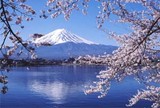 日本富士山溫泉